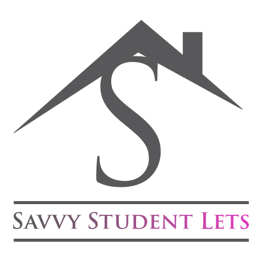 Savvy logo - 2026 v4 1024